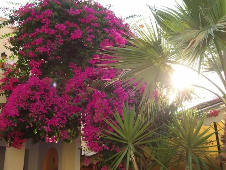 Готель Sweetmemory Agia Marina  Екстер'єр фото
